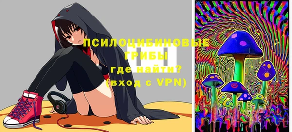 круглые Алзамай