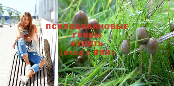 мет Дмитриев